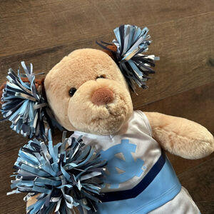 Build-A-Bear Workshop Tarheels Cheerleader Rare